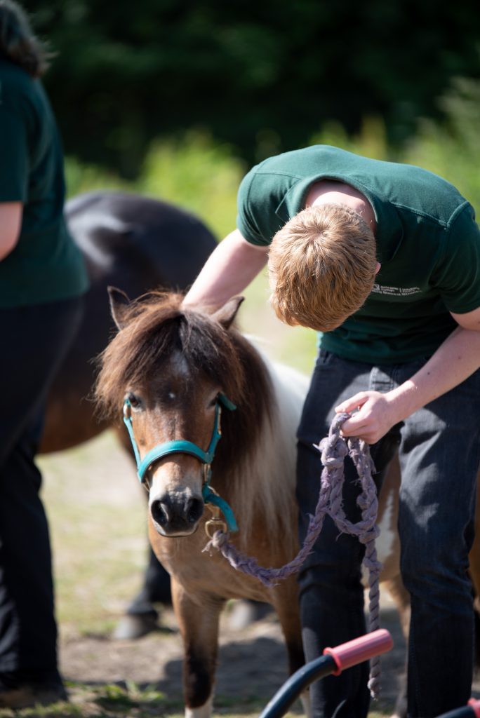 Animal Management - Image 7