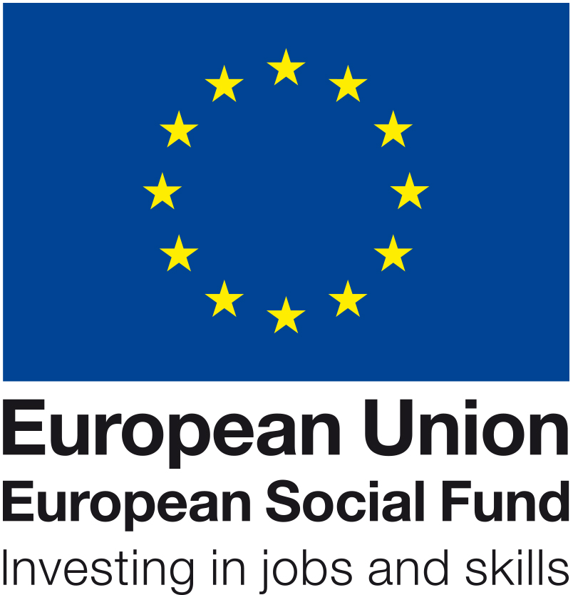European Social Fund logo featuring text which says 'Investing in jobs and skills'
