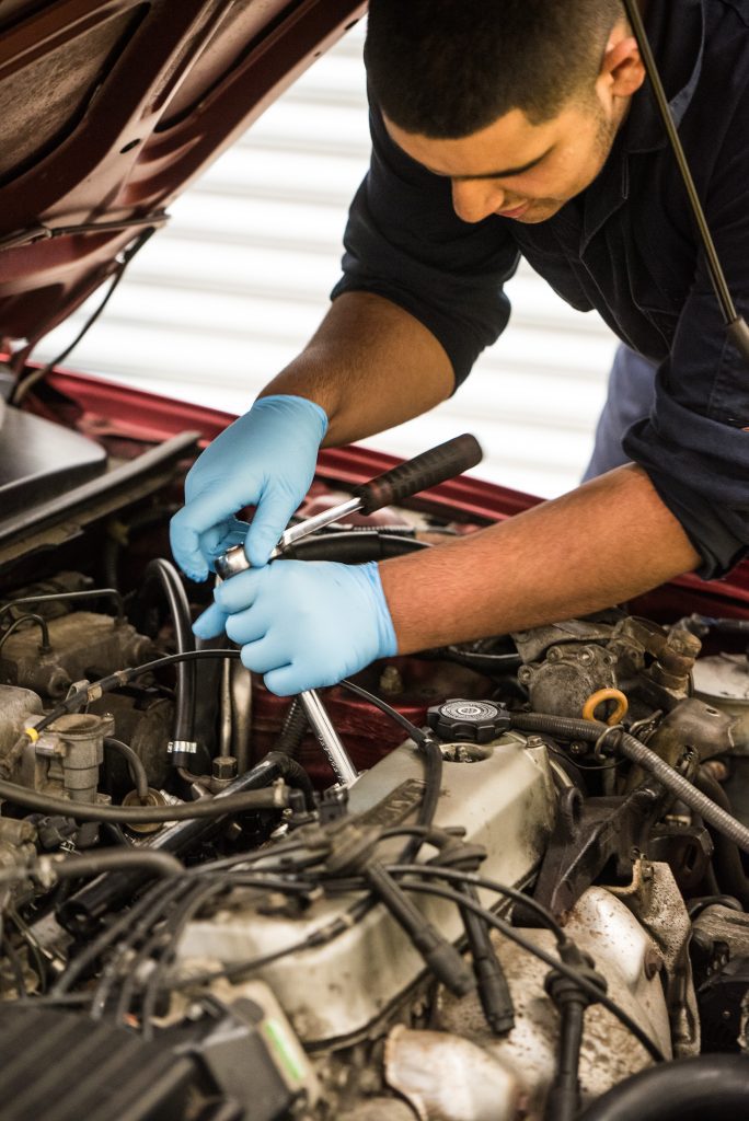 Motor Vehicle - Image 2