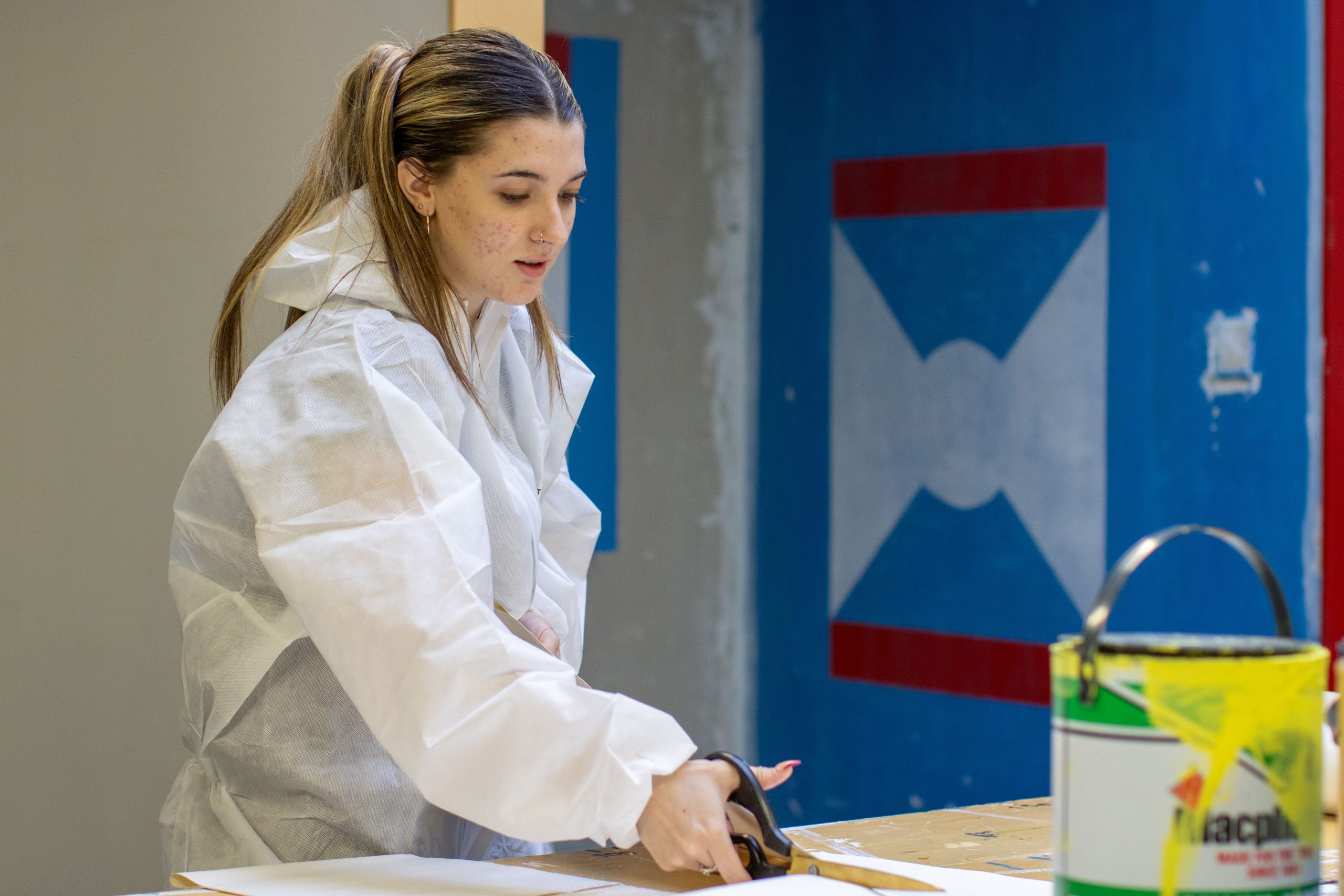 Painting Decorating Construction