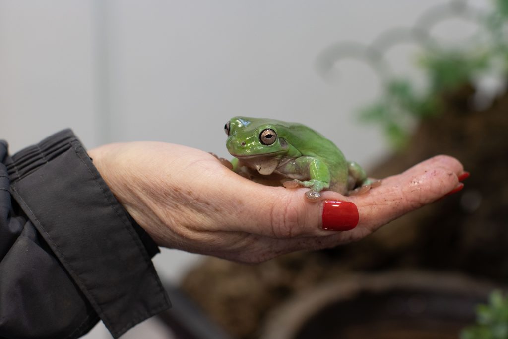 Animal Management - Image 12