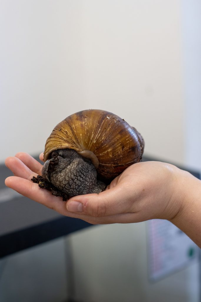 Animal Management - Image 13