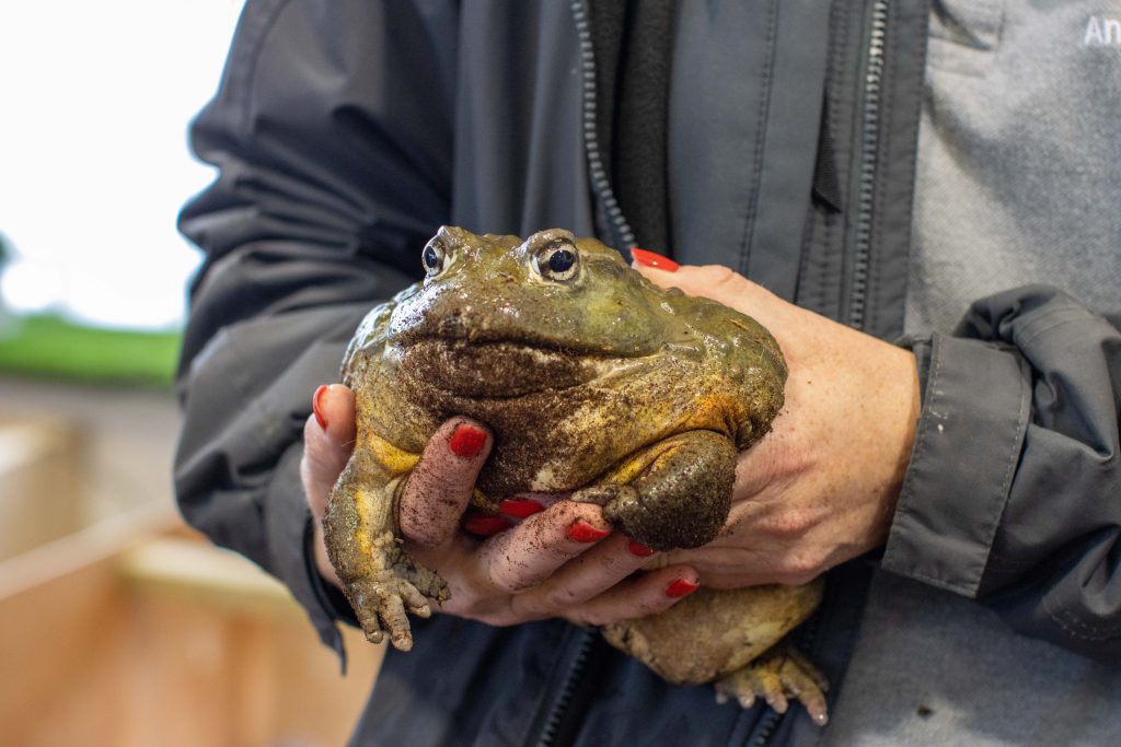 Animal Management - Image 11